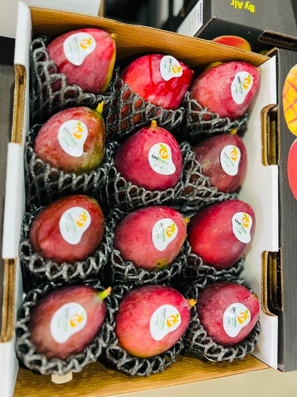 Caixa de mangas com etiquetas Unifrutas em rede de proteção