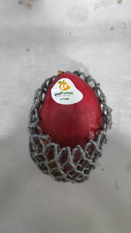 Manga com etiqueta Unifrutas envolta em rede de proteção